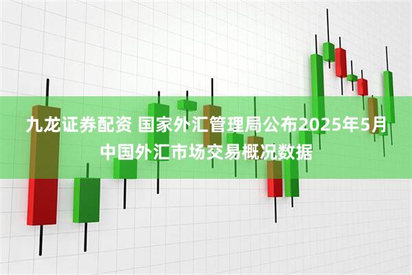 九龙证券配资 国家外汇管理局公布2025年5月中国外汇市场交易概况数据