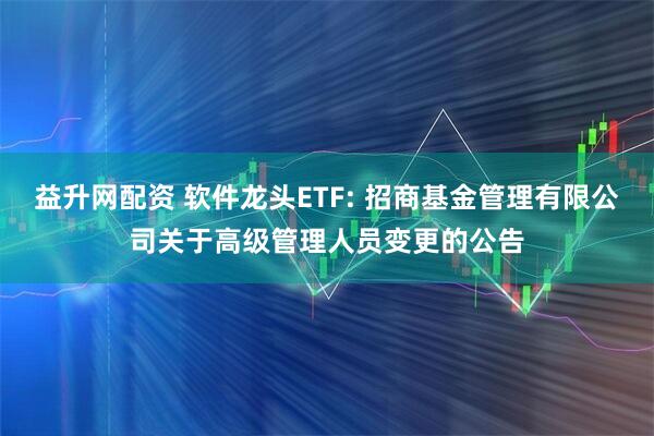 益升网配资 软件龙头ETF: 招商基金管理有限公司关于高级管理人员变更的公告