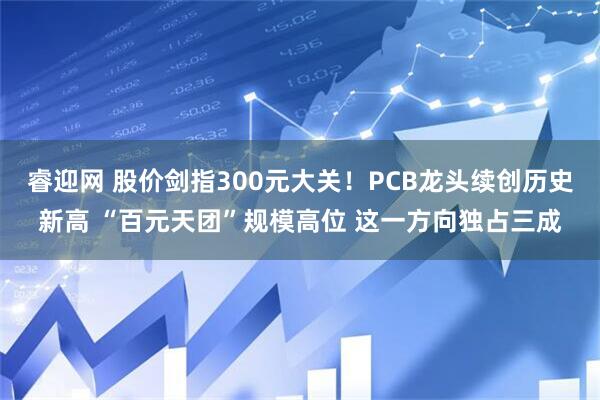 睿迎网 股价剑指300元大关！PCB龙头续创历史新高 “百元天团”规模高位 这一方向独占三成